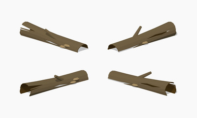 Rotten log. 3D lowpoly isometric vector illustration. The set of objects isolated against the white background and shown from different sides