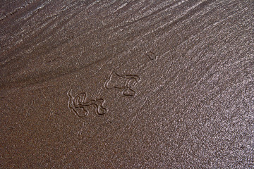 Sand art created by the outgoing tide.