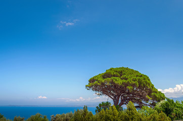 The coast,Tindari,Messina.