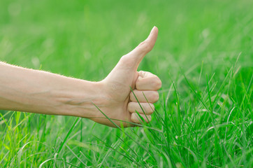 Spring and relaxation theme: the human hand touches a young fresh green grass in the garden