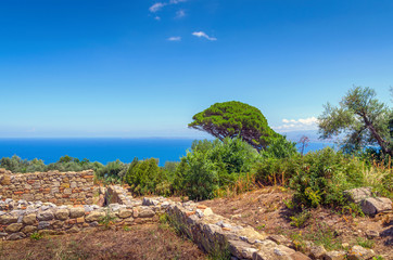 The coast,Tindari,Messina.