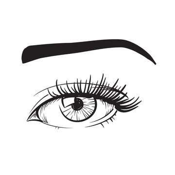 Woman eyes vector illustration hand drawn black lines on white i