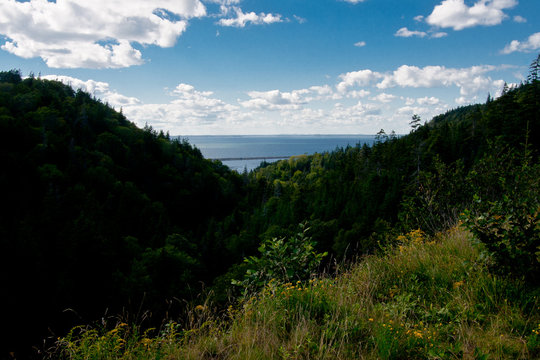 The valley leading to Dark Harbour