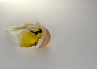 a star is born, funny chicken looking like Karl Lagerfeld