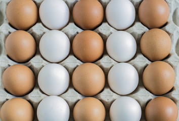 Brown and white eggs