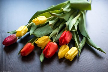 Obraz premium Весна тюльпаны