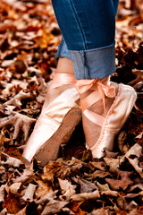 Pink ballet slippers dancing in leaves. © Sean McConnery