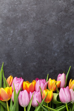 Fototapeta Fresh colorful tulip flowers