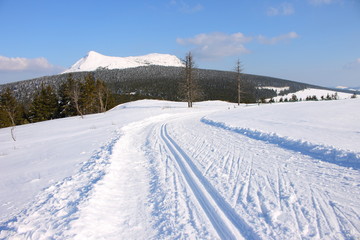 Fototapeta na wymiar Mézenc, ski de fond, Haute-Loire, Auvergne, France
