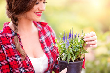 Gardener holding seedling in flower pot, green sunny nature