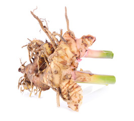 galangal isolated on white background