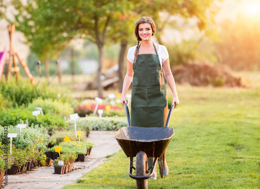 Wall mural gardener with wheelbarrow working in back yard, sunny nature