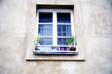 Fototapeta na wymiar window with flowers in flower pots