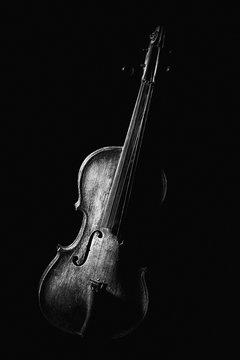 Antique fiddle in black and white.