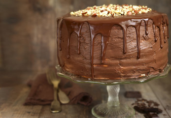 Chocolate layered cake with nuts.