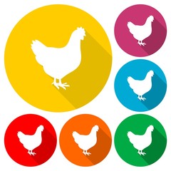 Chicken icons set with long shadow