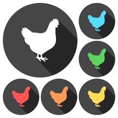 Chicken icons set with long shadow