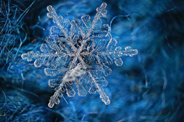 Natural snowflake blue background