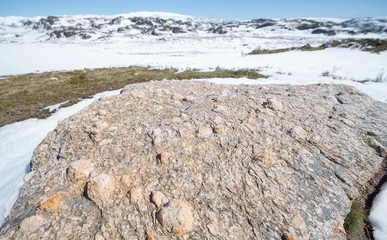 Rock texture, metamorphic rocks, background