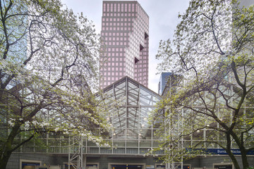 the image of spring blossom