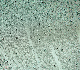  Rain Drops 
