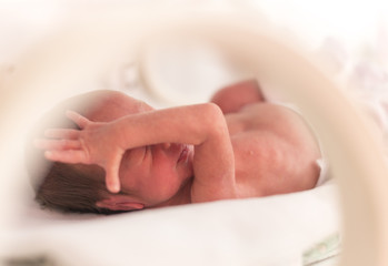 Premature newborn  baby girl