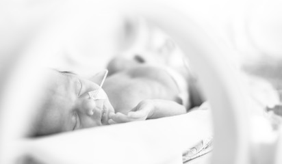 Premature newborn  baby girl