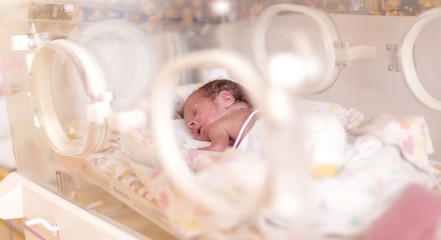 Premature newborn  baby girl