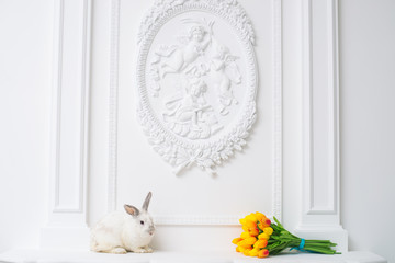 rabbit with tulips on a white background beautiful