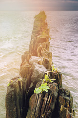 The breakwater in the ocean.