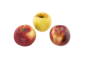 red and yellow apples