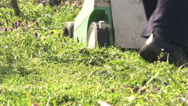Man pushing lawn mower and cutting grass in backyard