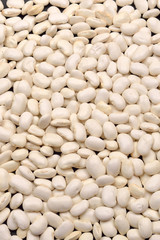 Background from white beans. Texture. Food vegan, vegetarian. He