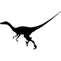 raptor silhouette