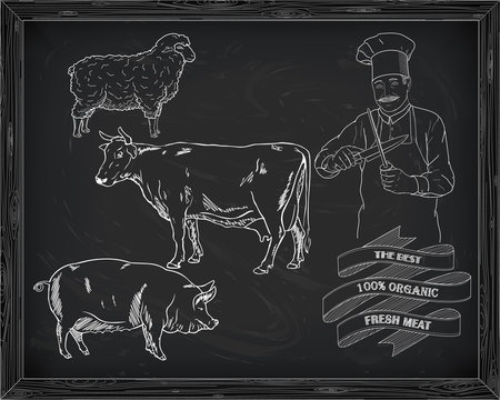 butchering beef diagram, pork, lamb and cook