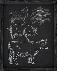 butchering beef diagram, pork, lamb