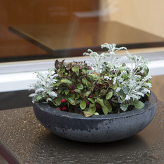 Holly branch with berries with wormwood in the ceramics pot