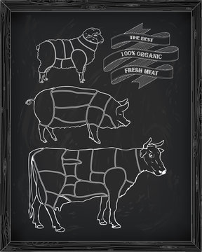 butchering beef diagram, pork, lamb