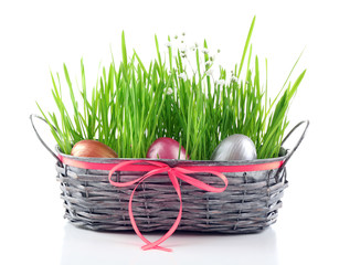 Multicoloured Easter eggs in a wicker bowl with grass isolated on white