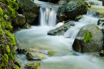 Fototapeta na wymiar Waterfall Cascade Swanson Creek Uvas Canyon County Park Morgan Hill California