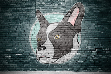 Graffiti Portrait Zeichnung Süßer Mischling aus französischer Bulldoge und Jack Russell Terrier