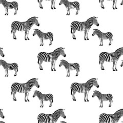 Fototapeta na wymiar zebra black and white seamless background
