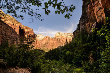 Fototapeta na wymiar Landscape of Red Rocks in the Canyons/ Landscape of Canyons in Utah, United States.