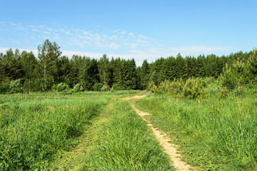 Dirt road in green grass