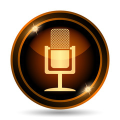 Microphone icon