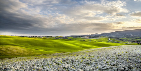 Campagna italiana