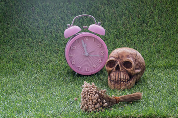 Last moment of human life / Still life of human skull and dry flower and pink clock on green grass sign of death