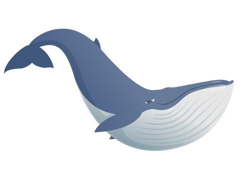 Cute funny blue whale