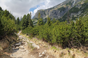 Fototapeta na wymiar beautiful landscape of High Tatra Mountains, Slovakia