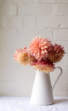 Coral pink dahlias in a white jug on a white tablecloth against a white brick wall (portrait)
